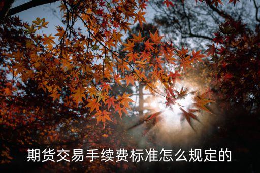 期貨日內(nèi)手續(xù)費(fèi)怎么收，期貨掛單手續(xù)費(fèi)怎么收取的