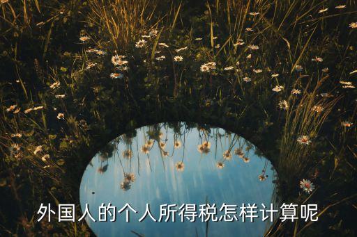 外國(guó)人的個(gè)稅怎么算，外國(guó)人個(gè)人所得稅怎么算