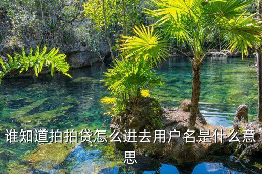 拍拍貸怎么登錄啊，拍拍貸已經(jīng)注冊過的怎么登入