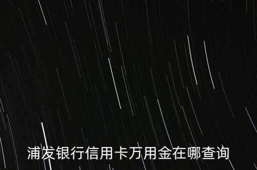 浦發(fā)銀行信用卡萬用金在哪查詢