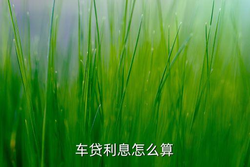 車貸利息怎么算