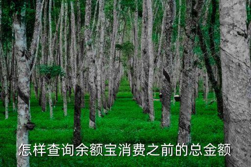余額寶以前明細怎么查，怎樣查詢余額寶消費之前的總金額
