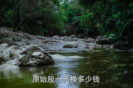 原始股一元換多少錢