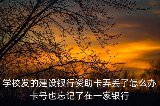 學校發(fā)的建設(shè)銀行資助卡弄丟了怎么辦卡號也忘記了在一家銀行