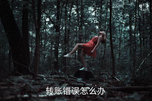 轉(zhuǎn)賬錯(cuò)誤怎么辦