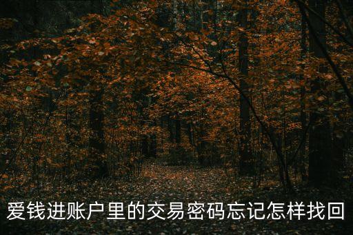愛錢進賬戶里的交易密碼忘記怎樣找回