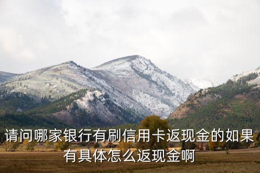 請問哪家銀行有刷信用卡返現(xiàn)金的如果有具體怎么返現(xiàn)金啊