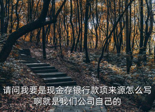 銀行卡資金來源怎么寫，賬戶余額資金來源的證明資料填寫什么呀