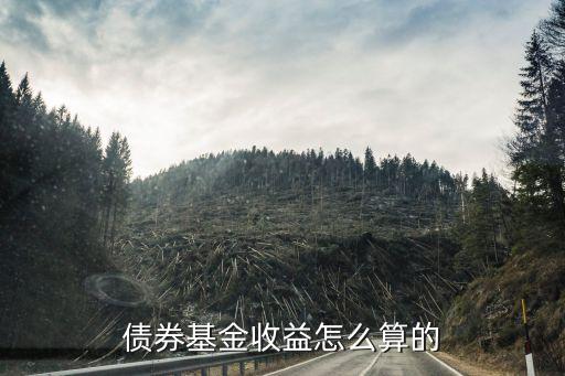 債券基金怎么收益多少，債奍型基金的收益如何計算