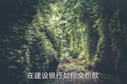 在建設銀行如何交罰款