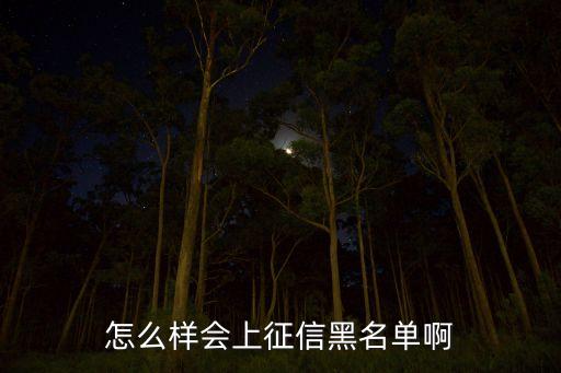 怎么樣會(huì)上征信黑名單啊