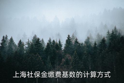 上海市社保怎么算的，上海社保金繳費基數(shù)的計算方式