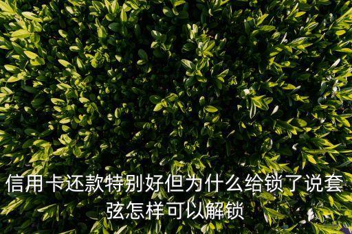 信用卡還款特別好但為什么給鎖了說(shuō)套弦怎樣可以解鎖