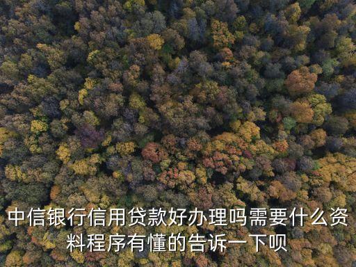 中信點(diǎn)貸怎么弄，中信銀行信用貸款好辦理嗎需要什么資料程序有懂的告訴一下唄
