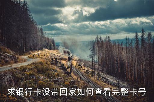 怎么查完整卡號(hào)，您好我想知道完整的銀行卡賬號(hào)怎樣查