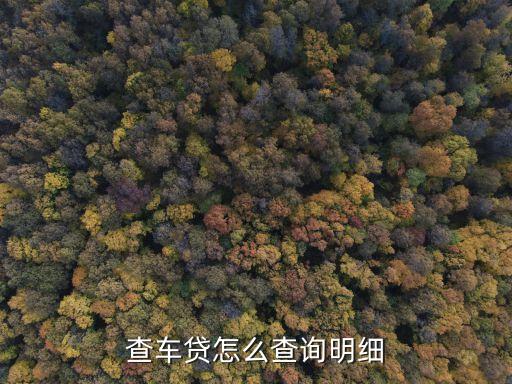查車貸怎么查詢明細