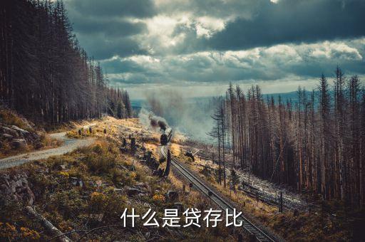 什么是貸存比