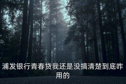 浦發(fā)銀行青春貸我還是沒搞清楚到底咋用的