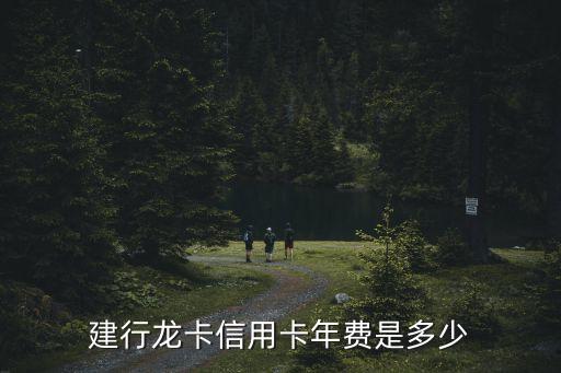 建行龍卡信用卡年費(fèi)是多少