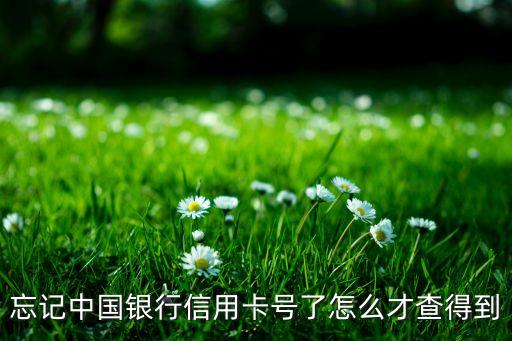 中行信用卡卡號(hào)怎么查，怎么查中信銀行的信用卡卡號(hào)