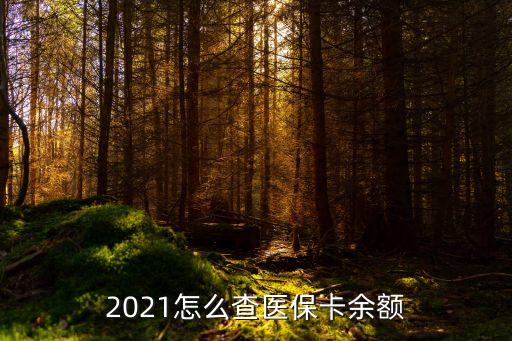 2021怎么查醫(yī)?？ㄓ囝~