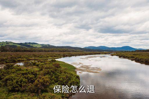 保險(xiǎn)怎么退