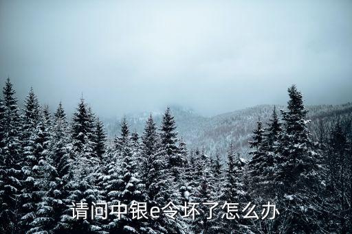 請問中銀e令壞了怎么辦