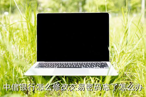 中信 資金密碼怎么修改，中信銀行怎么修改交易密碼忘了怎么辦