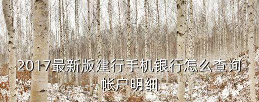 2017最新版建行手機(jī)銀行怎么查詢帳戶明細(xì)