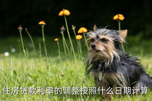 銀行房貸利率怎么調(diào)整，住房貸款利率的調(diào)整按照什么日期計(jì)算