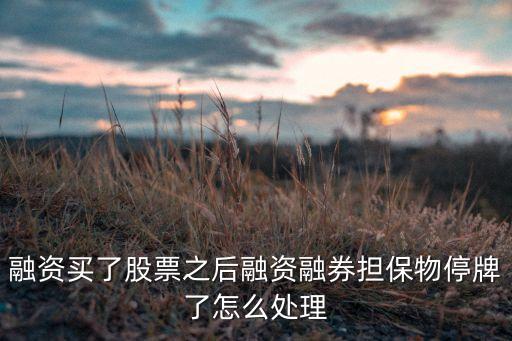 融資買入后怎么辦，股票怎么處理呀是融資的