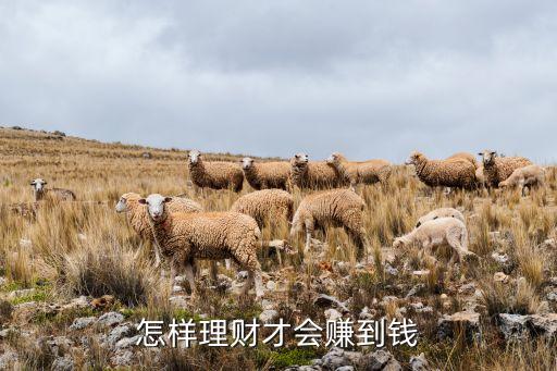 怎樣理財(cái)才會(huì)賺到錢