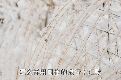 怎么樣用同樣的銀行卡匯款