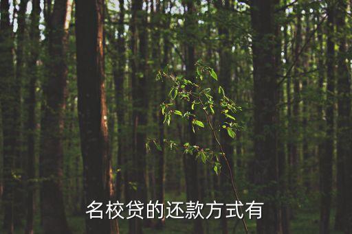 名校貸官網(wǎng)還款怎么還，名校貸app更新后咋還款