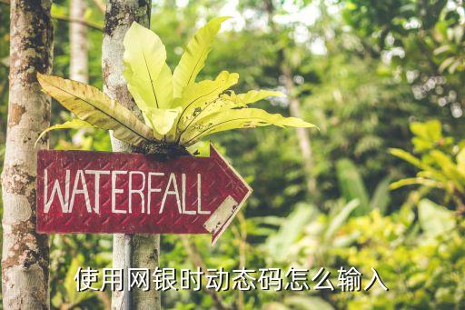 鄭州銀行動(dòng)態(tài)碼怎么用，網(wǎng)上銀行動(dòng)態(tài)口令密碼是怎么用的