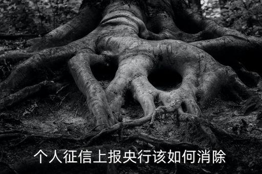 個(gè)人征信上報(bào)央行該如何消除