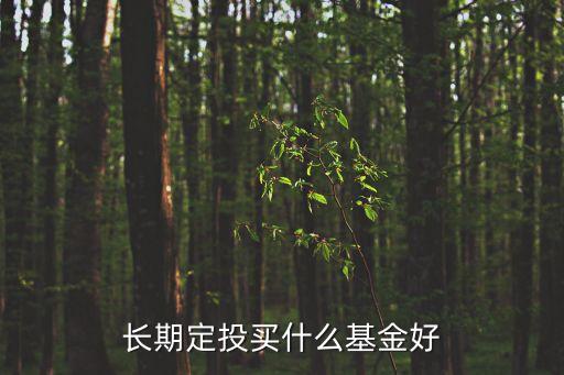 長期定投買什么基金好