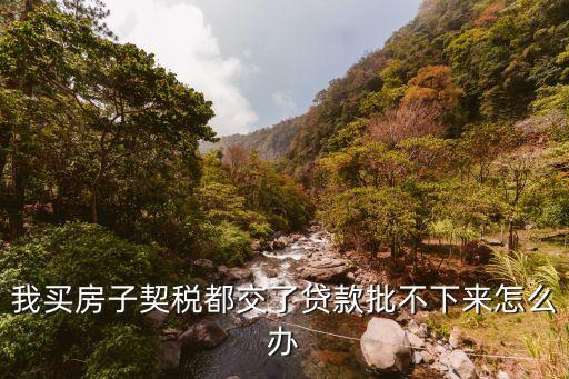 我買房子契稅都交了貸款批不下來怎么辦