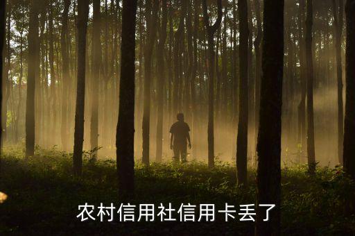 農(nóng)村信用社卡丟失怎么辦理信用卡，農(nóng)村信用卡丟了怎么補辦