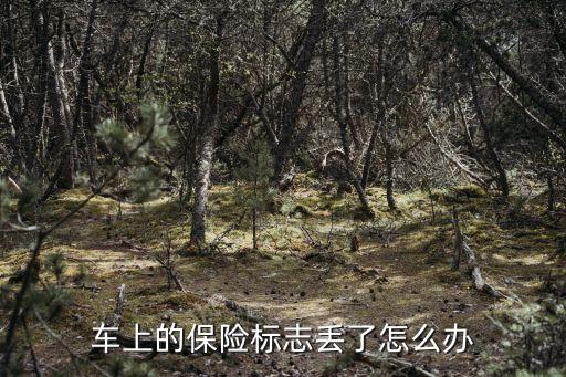 車上的保險標志丟了怎么辦