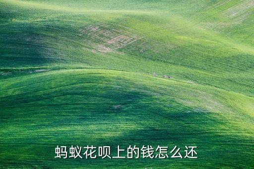 螞蟻花唄上的錢怎么還