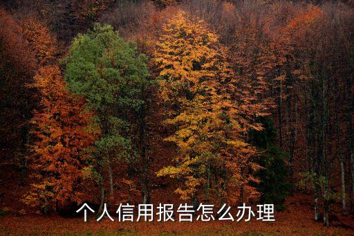 個人信用報告怎么辦理