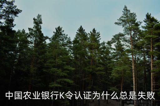 k令認證失敗怎么回事，中國農(nóng)業(yè)銀行K令認證為什么總是失敗