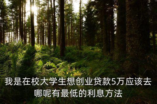 我是在校大學(xué)生想創(chuàng)業(yè)貸款5萬應(yīng)該去哪呢有最低的利息方法