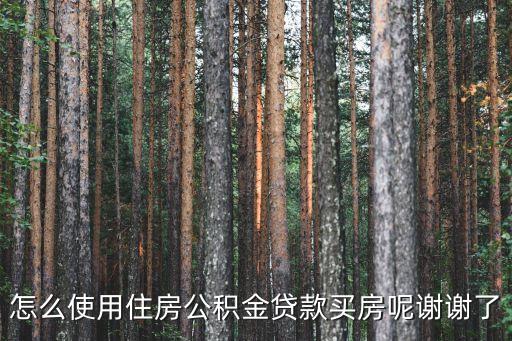 怎么使用住房公積金貸款買房呢謝謝了