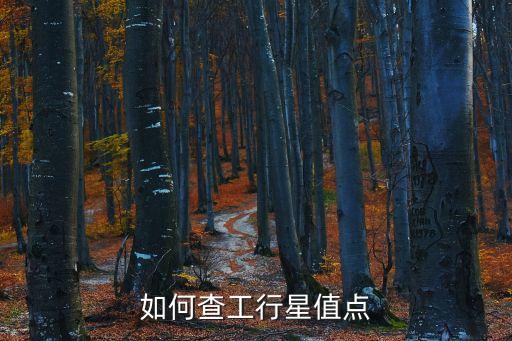 如何查工行星值點