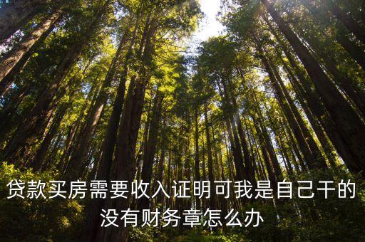 貸款買房需要收入證明可我是自己干的沒有財(cái)務(wù)章怎么辦