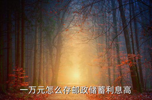 一萬(wàn)元怎么存郵政儲(chǔ)蓄利息高