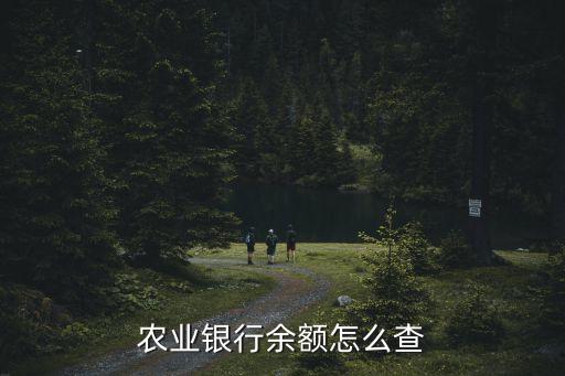 怎么查看農(nóng)行余額查詢，我想查我本人農(nóng)業(yè)銀行卡上的余額怎么查