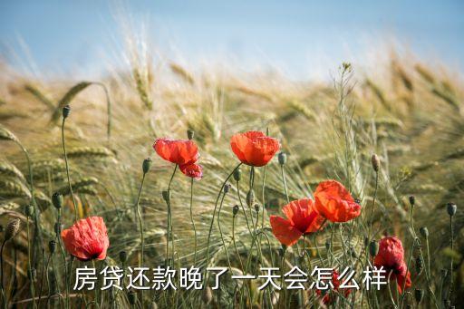 房貸還款晚了一天會(huì)怎么樣